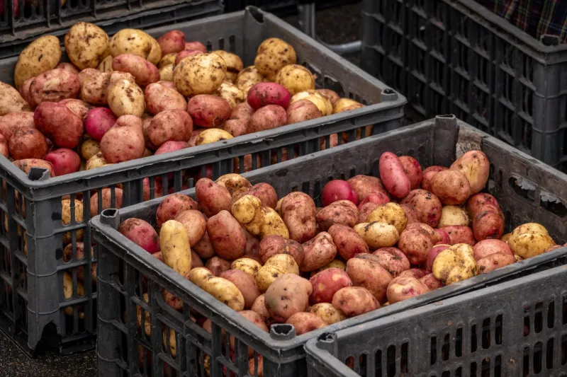 Février gourmand : et si l'hiver était la meilleure saison pour manger québécois ?