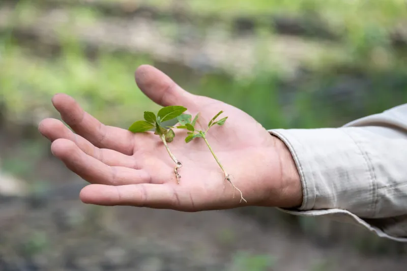 Des mains dans l'humus : partir en séjour régénératif dans les forêts du Québec