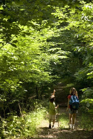 À hauteur de tout-petit : le guide du voyage en famille qui ne court après rien